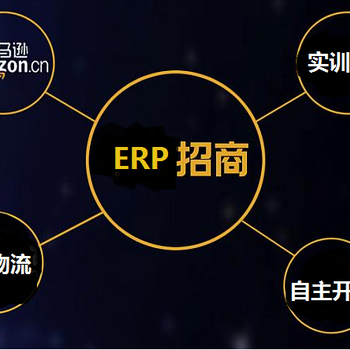 亞馬遜無貨源店群模式盈利月入幾十萬?亞馬遜ERP開發(fā)定制